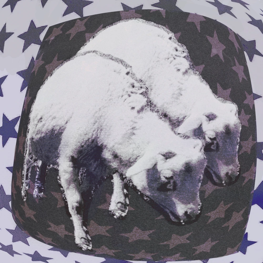 Swapmeet New Wood Old Ashes single cover - indie pop music